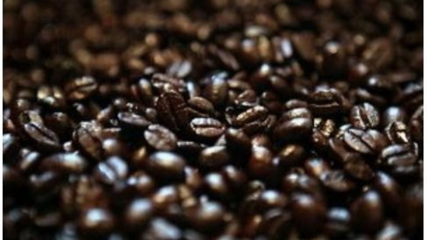 Coffee exports to Algeria rise high