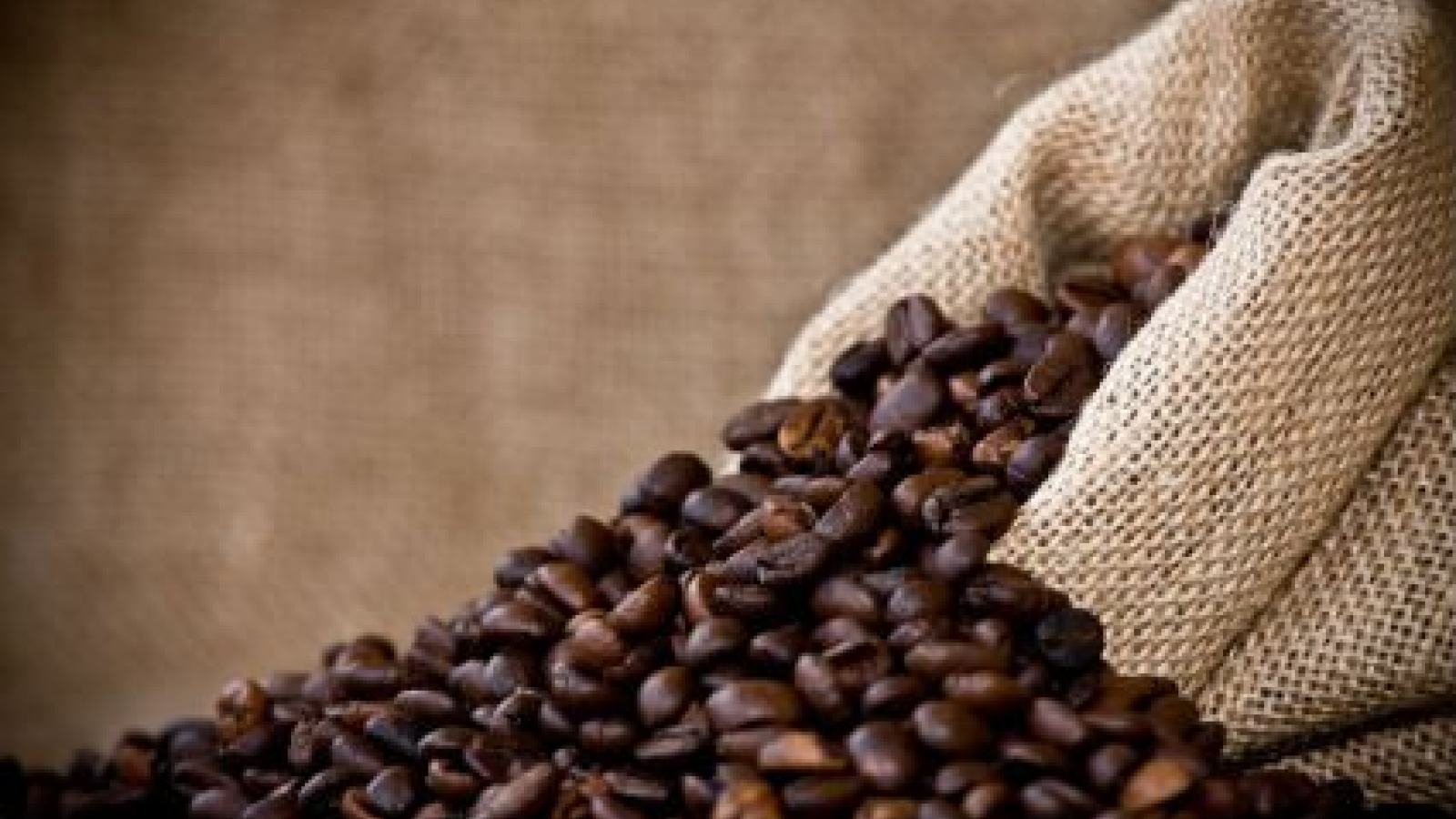 Vietnam designates December 10 as Coffee Day