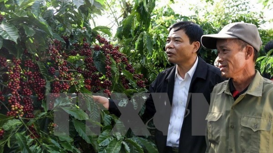Vietnam’s coffee exports rake in US$1 billion in Q1