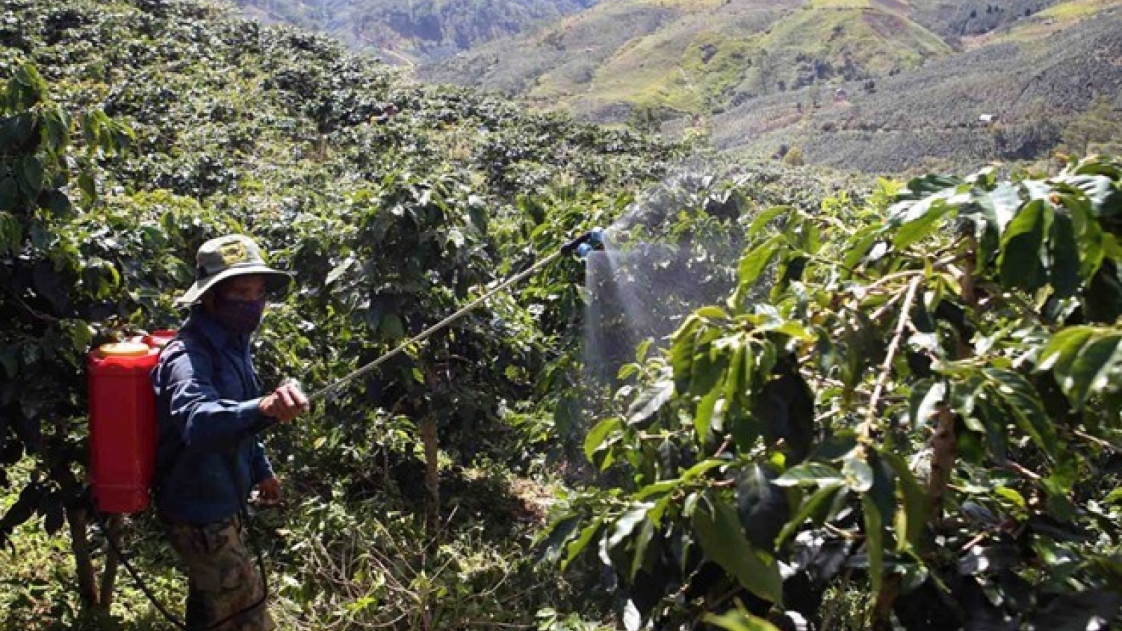 Insiders talk climate, integration-adapted coffee industry