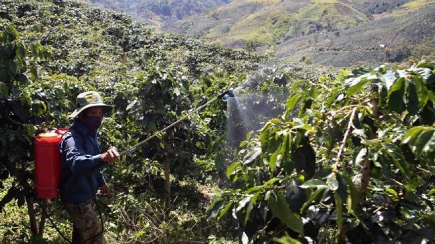 Insiders talk climate, integration-adapted coffee industry
