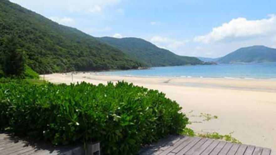 
        Con Dao: Tips for the perfect island getaway in Vietnam
                              