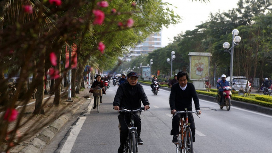 First sight of blossoming peach trees in Hanoi are first sign of Tet