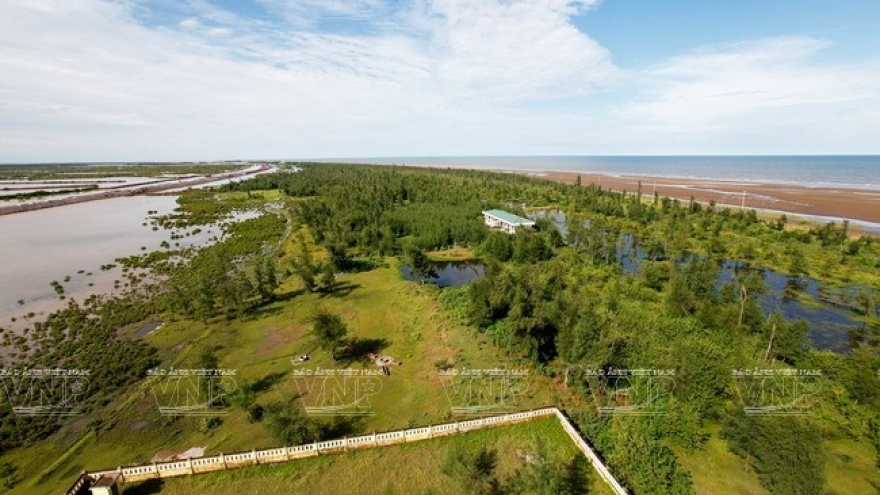Con Vanh ecological tourism site attractive to visitors