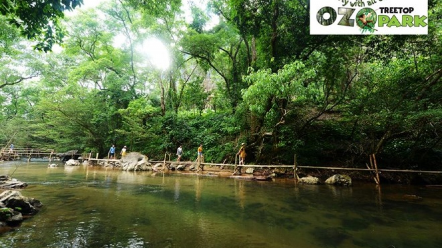 Ozo Treetop Park – new tourism product of Quang Binh