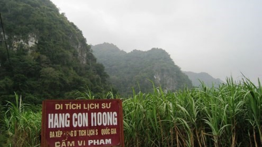 
        Special exhibition on Con Moong cave, nearby relic sites
                              