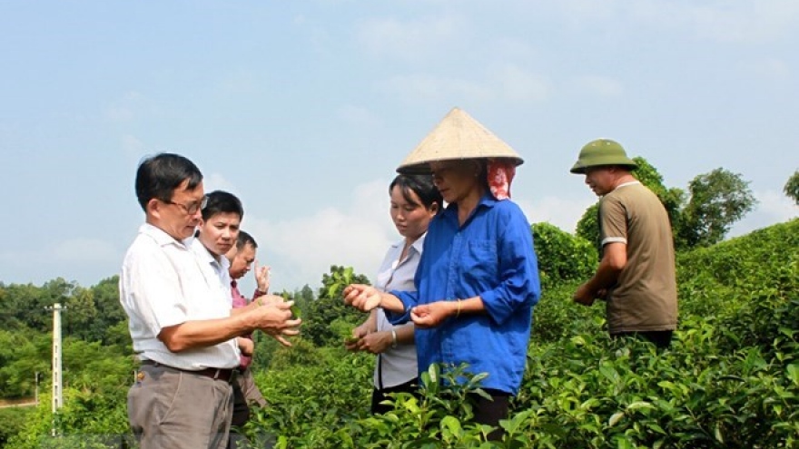 
        Germany helps Tra Vinh build modern cooperative models
                              