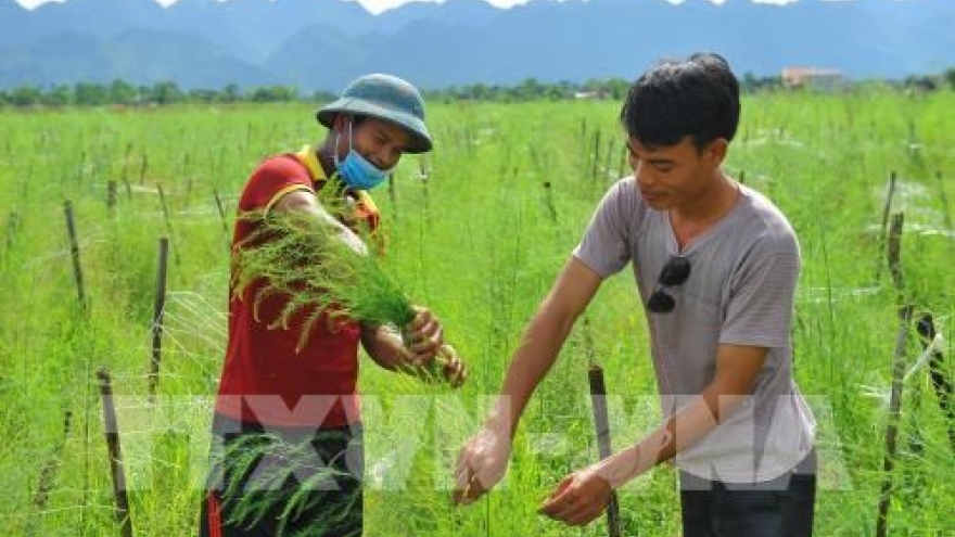 Connectivity helpful for cooperatives to create own strength