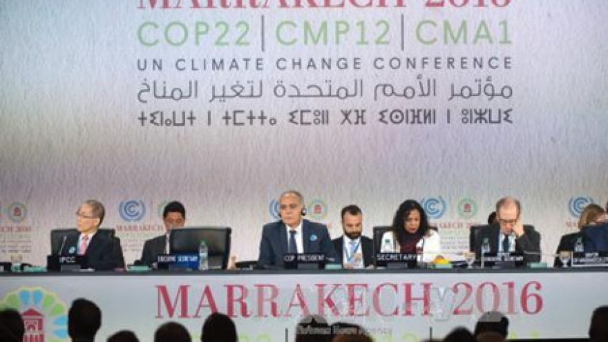 COP22: Turning words into action