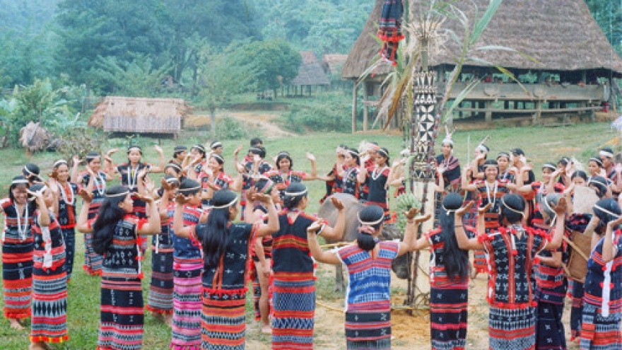 Village elder Bh’riu Po dedicated to Co Tu culture