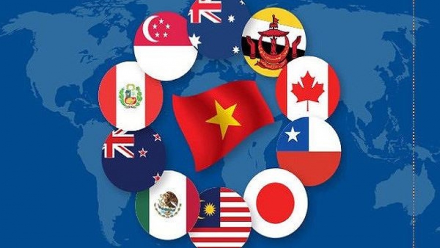 Vietnam’s exports to CPTPP countries surge