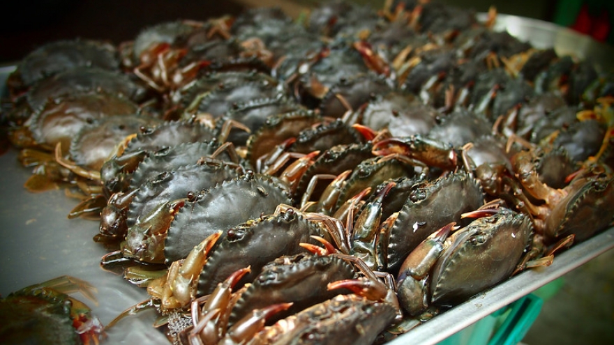 Crab and crustacean exports increase sharply