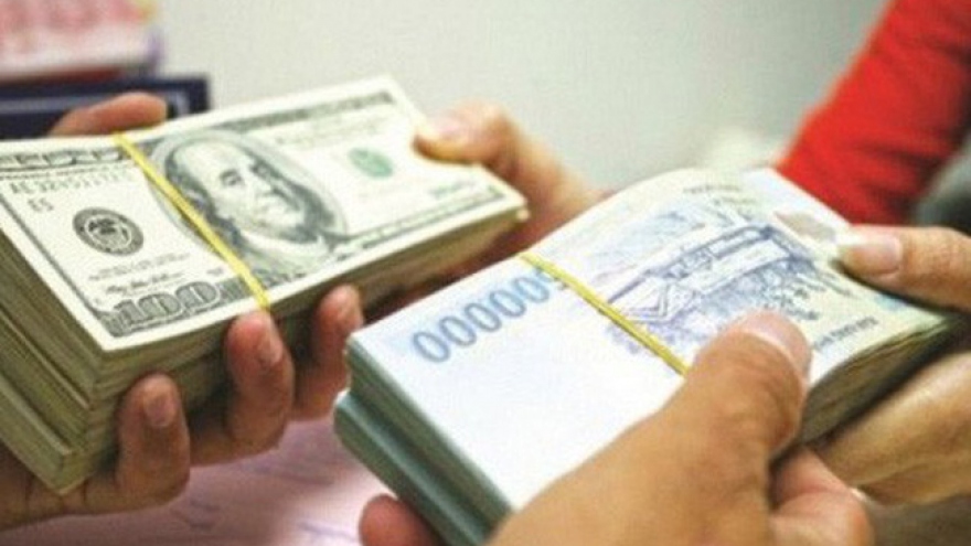 Four directions set for foreign currency credit