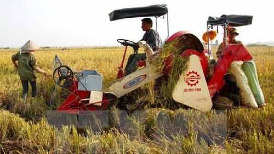Crop production needs restructuring