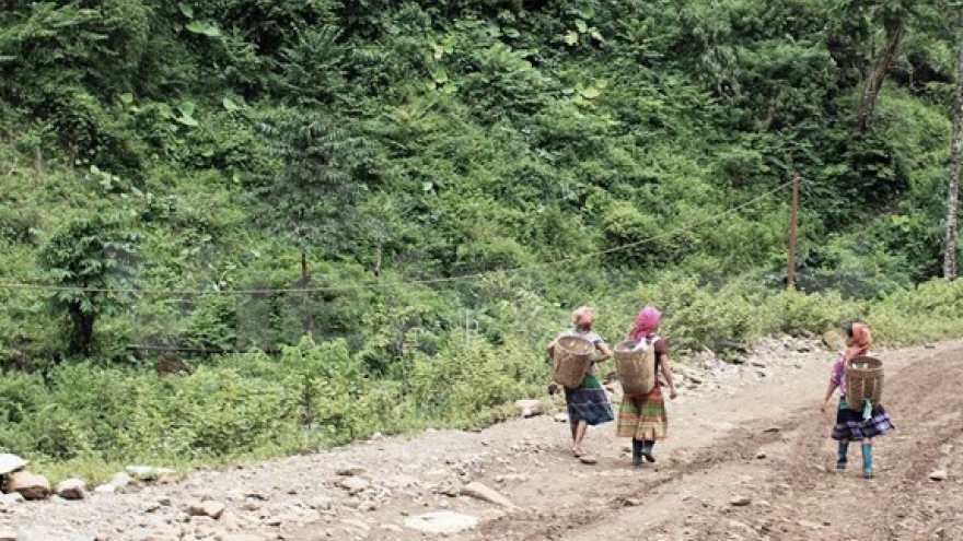
        Cross-border human trafficking reduced: report
                              