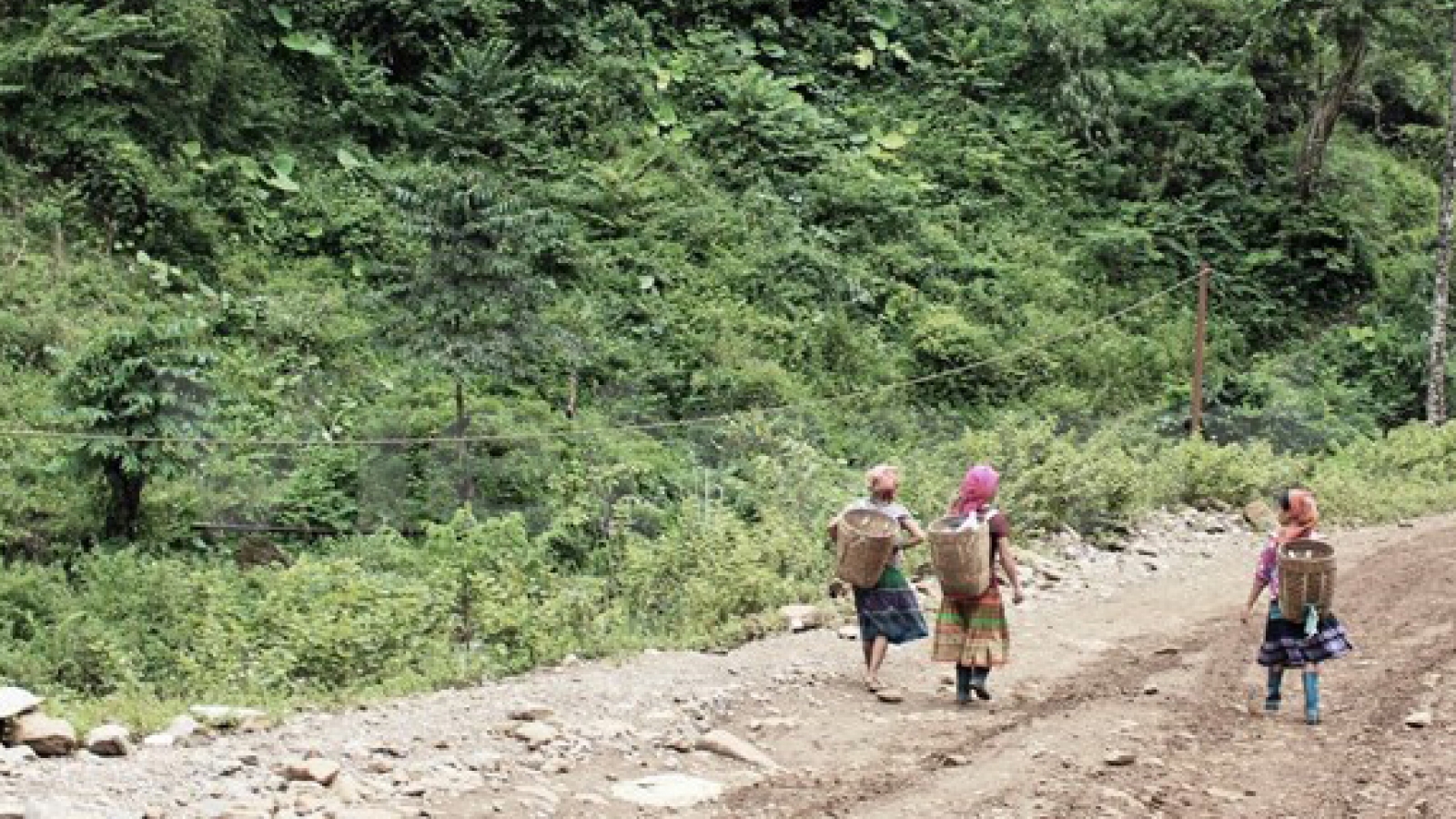 Cross-border human trafficking reduced: report