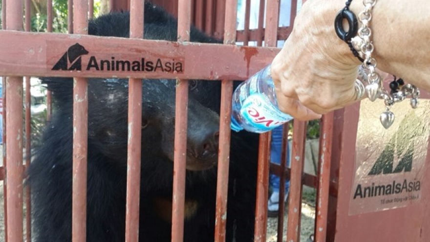 Animals Asia takes care of more captive bears