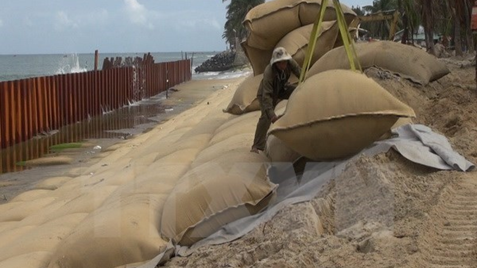 Quang Nam: measures sought for sustainable coast protection
