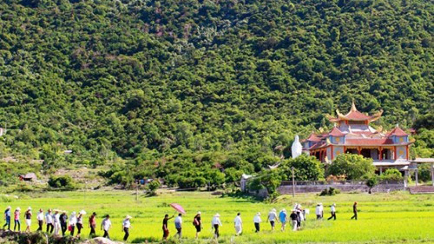  Cu Lao Cham to limit number of visitors to preserve biosphere