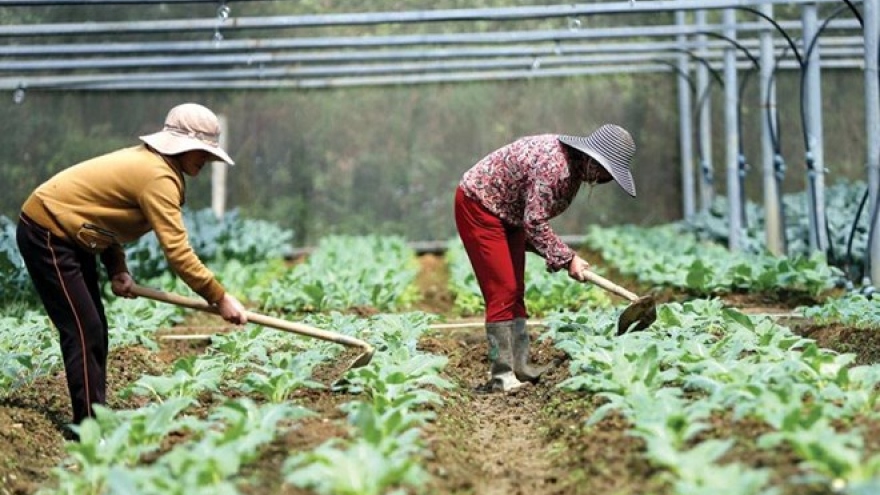 More investment needed for agriculture sector