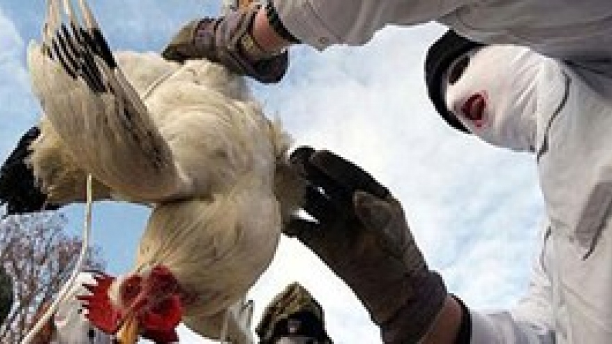 Vietnam alarmed at A/H7N9 influenza threat