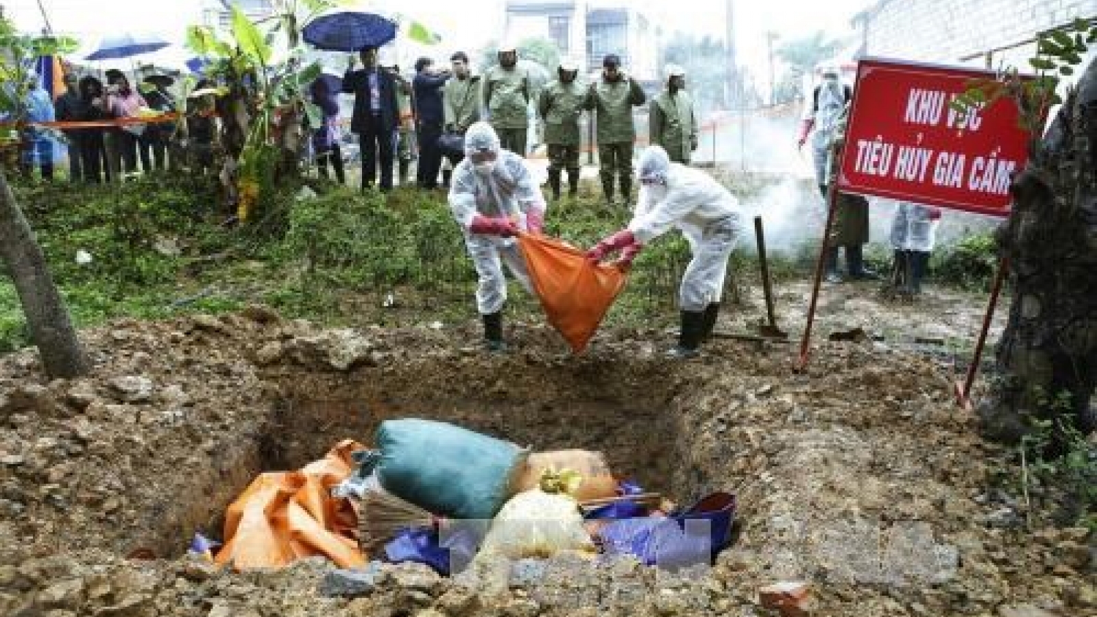Lang Son holds bird flu prevention drill