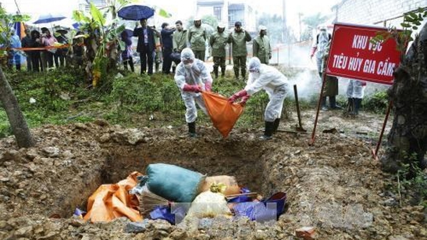 Lang Son holds bird flu prevention drill