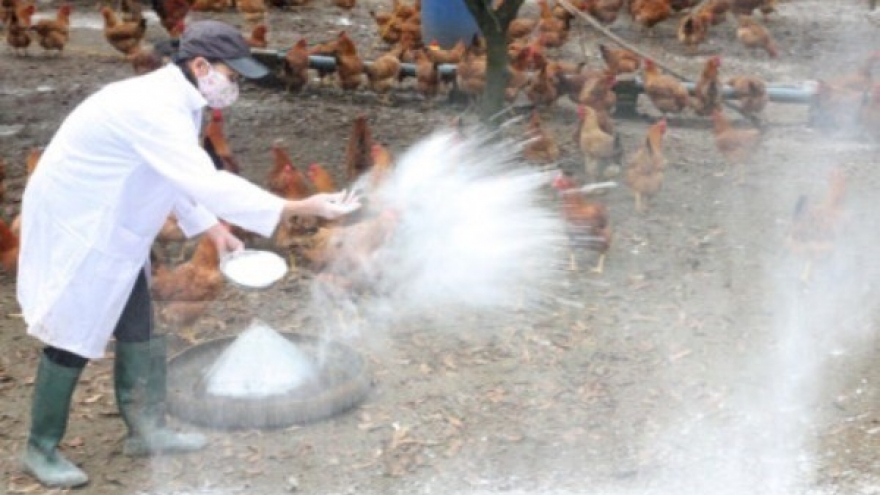 Ministry announces Vietnam free of bird flu