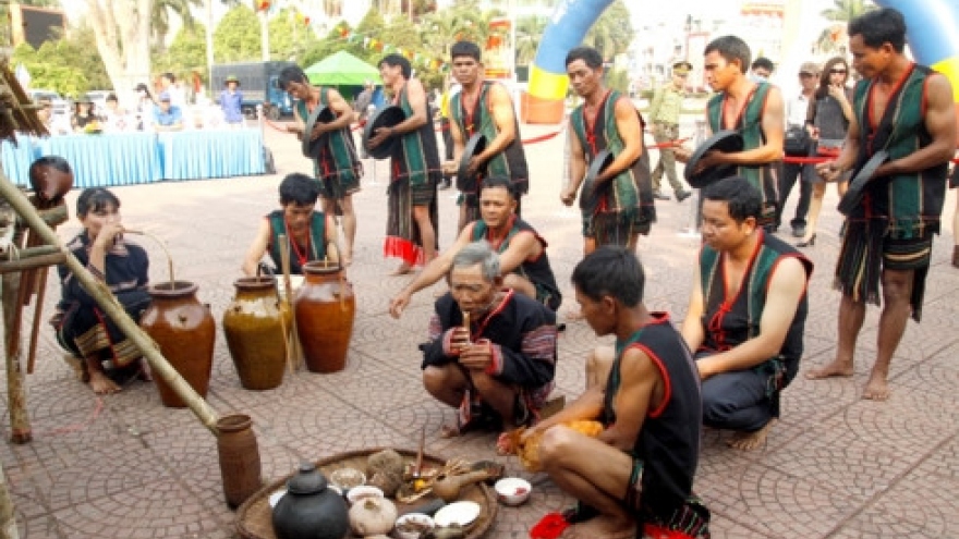 New rice ceremony of the M’nong Gar