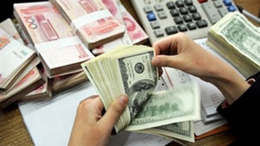Gov't to let foreign currency reserves fund development