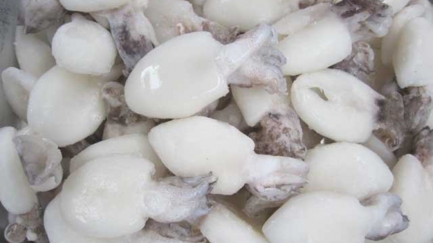 Cuttlefish, octopus export to grow