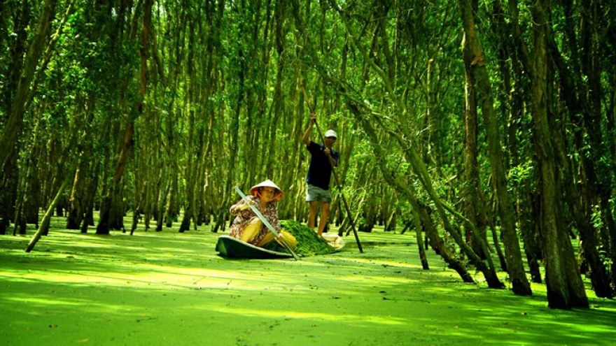 Top breathtaking rendezvous in Vietnam this summer 