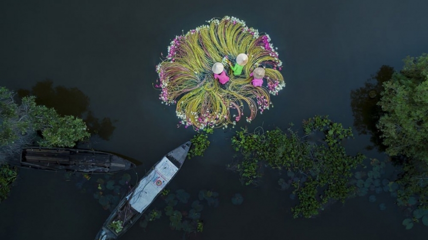 Vietnamese photographer awarded prize in Drone Awards 2019