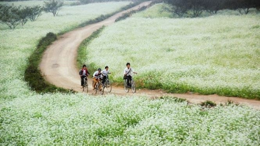 Ideal places not to be missed during the New Year holiday