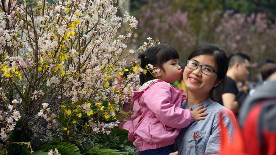 Japanese Cherry Blossom Festival draws the crowds