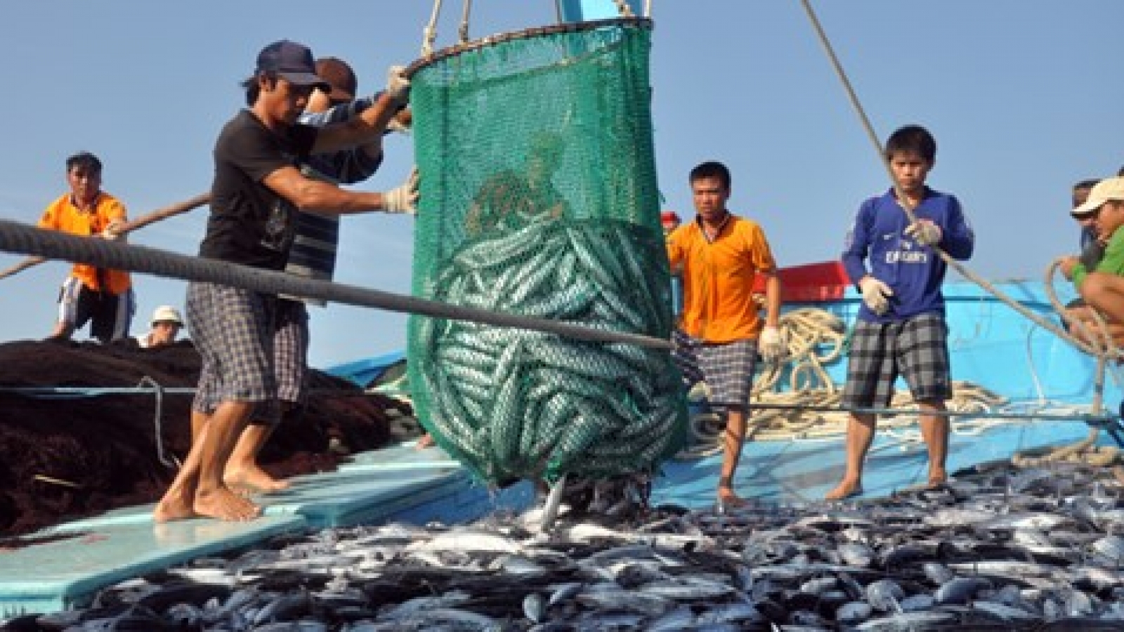 Vietnam, Australia combat illegal fishing