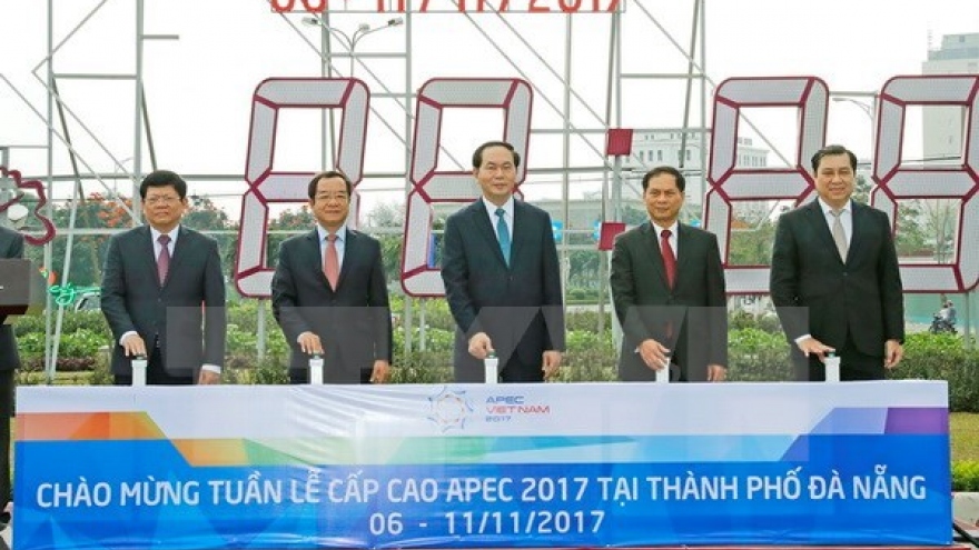 President inspects APEC Summit preparations in Da Nang