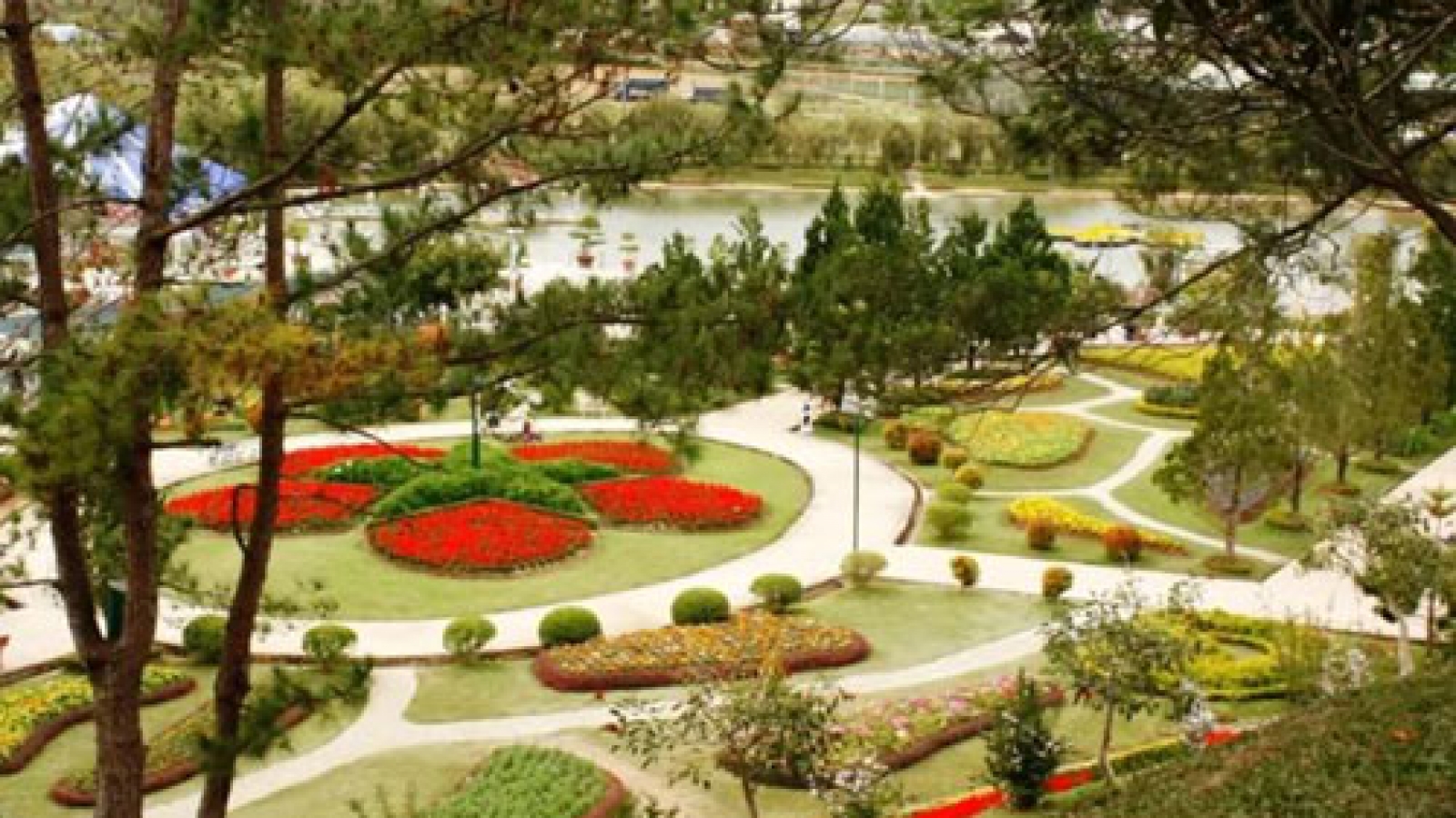 Da Lat- A city of flowers