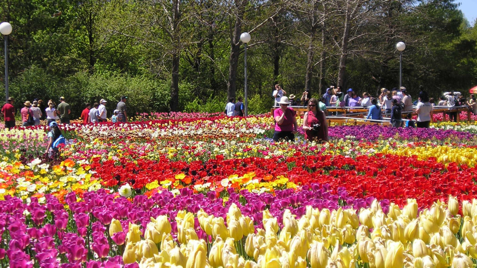 Visiting Da Lat Flower Park
