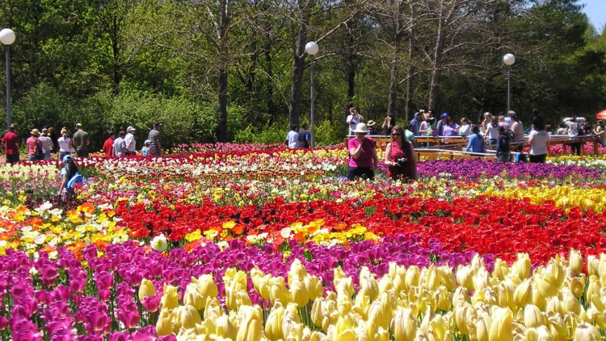 Visiting Da Lat Flower Park