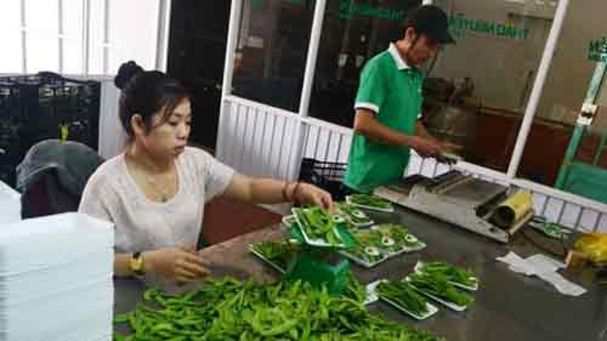 Da Lat to put logo on veggies to avoid confusion with Chinese products