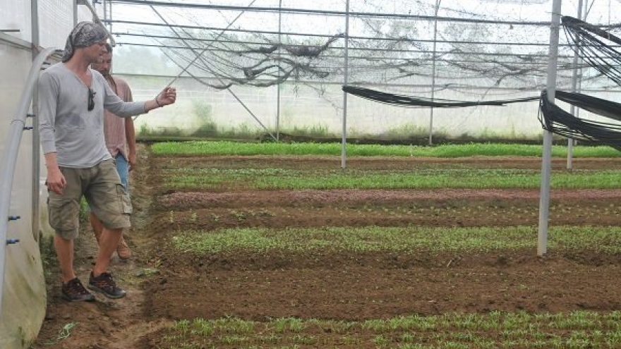 Danang aims to bolster hi-tech agrotourism