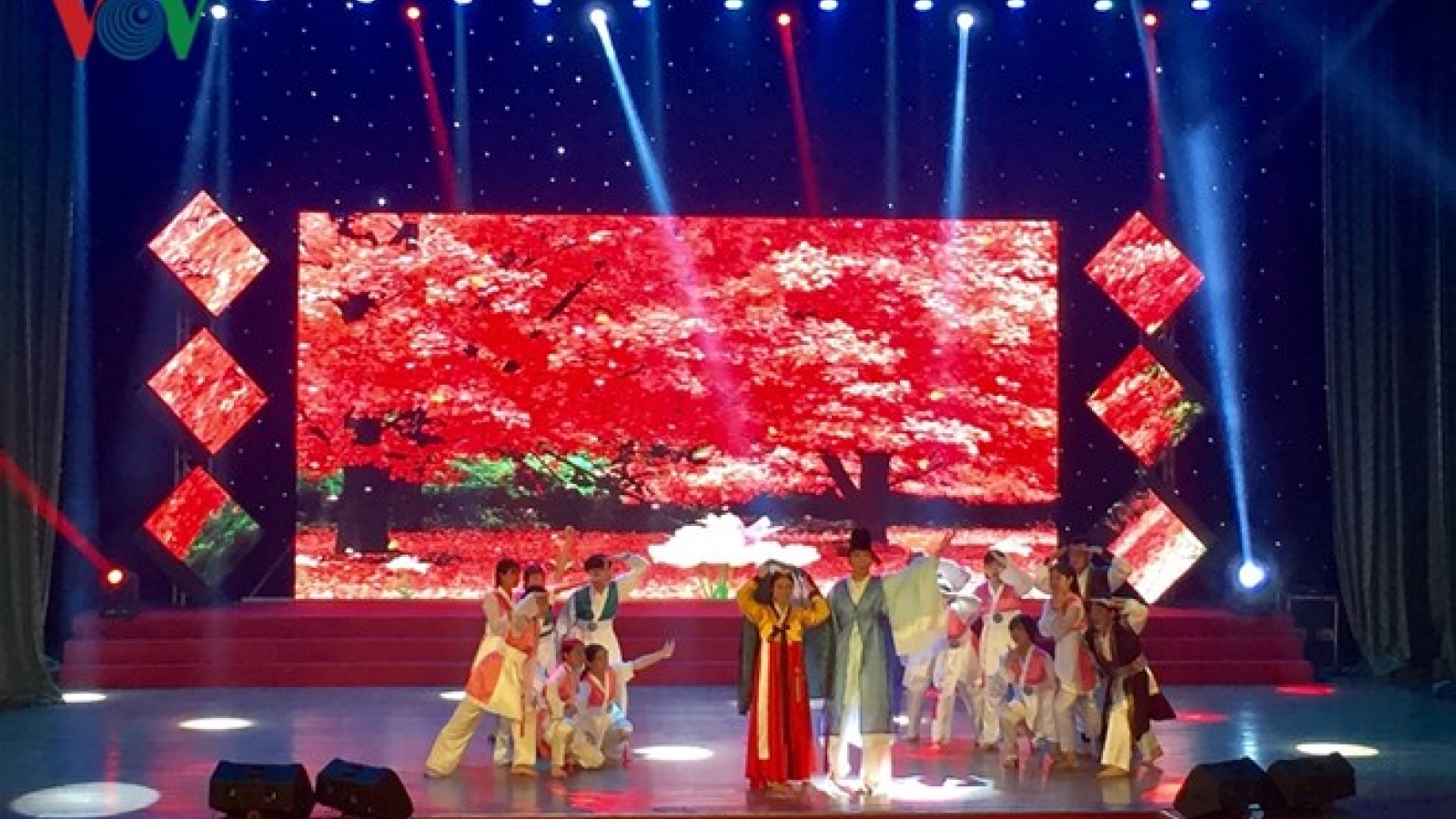 Chinese artists win international art festival in Da Nang
