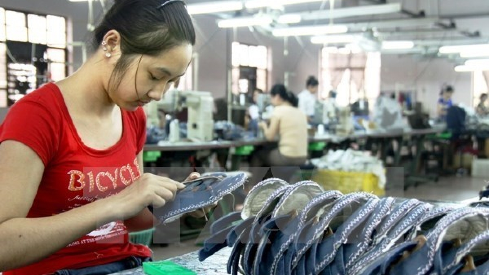 HCM City guarantees loans for SMEs