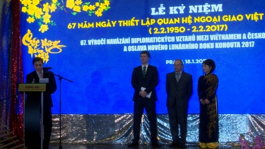 Ceremony marks Vietnam-Czech diplomatic ties