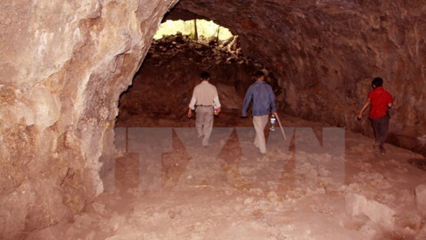Dak Nong volcanic cavern geological park to open in 2016