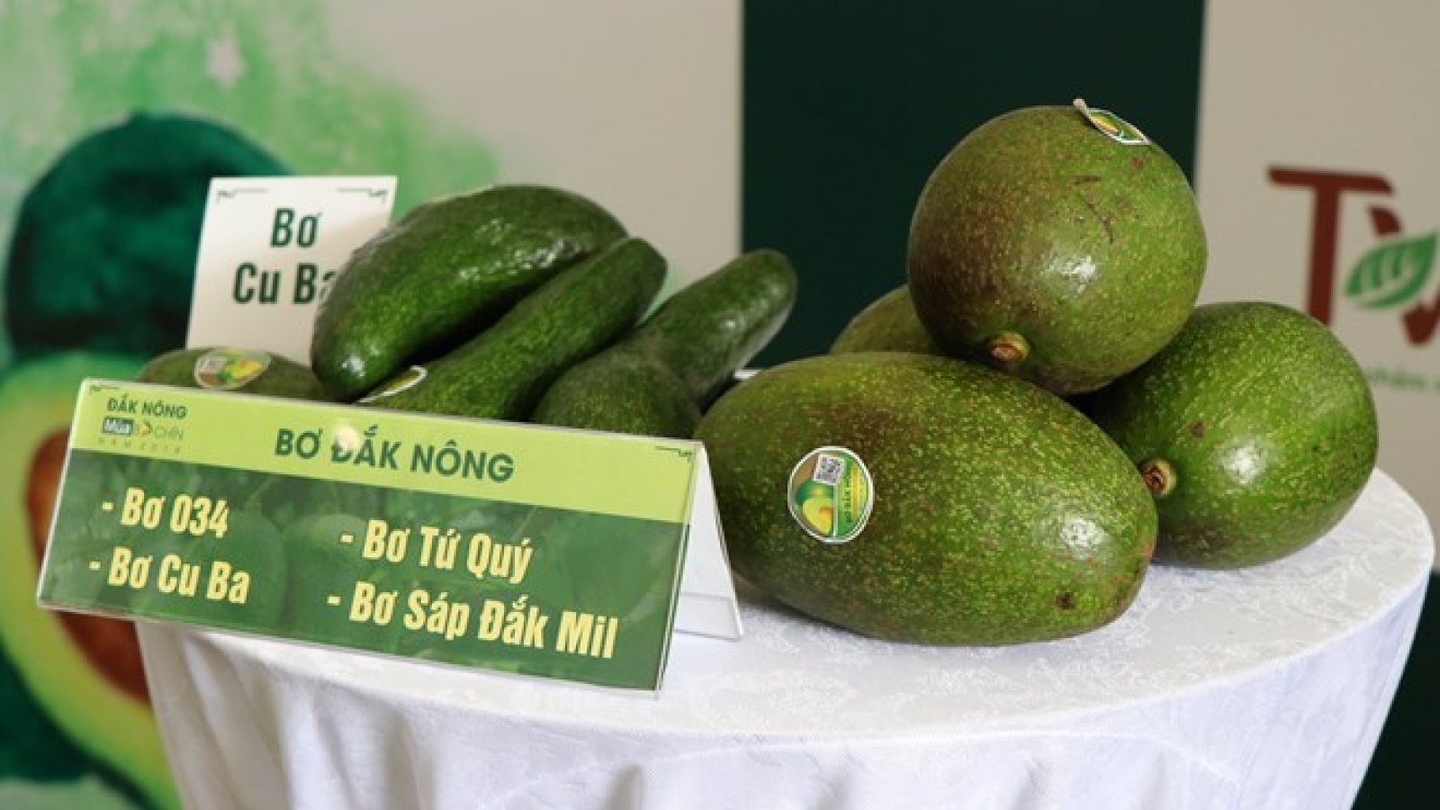Activities to promote Dak Nong’s specialty avocados