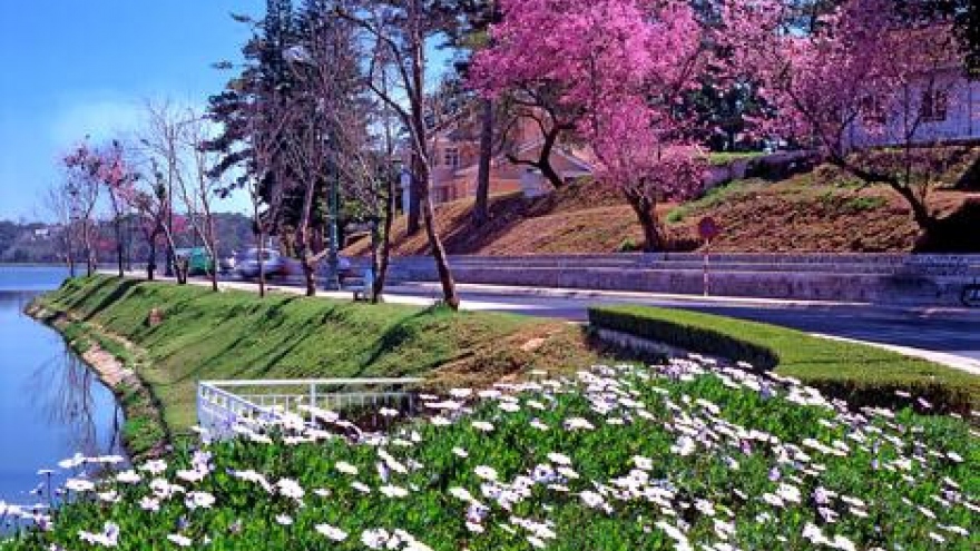 Da Lat launches app for tourists