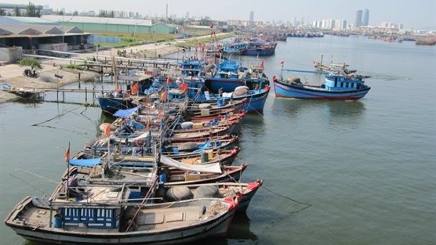 
        Danang attractive to Japanese investors: CEO
                              