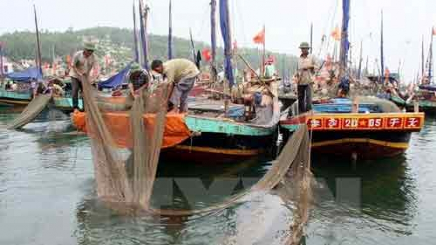 Quang Tri sets up damage assessment council after fish deaths